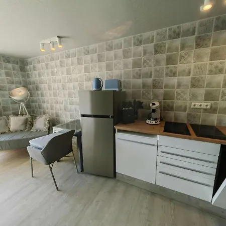 公寓 Renove Avec Terrasse, Climatisation, Proche - Fr-1-607-165 *