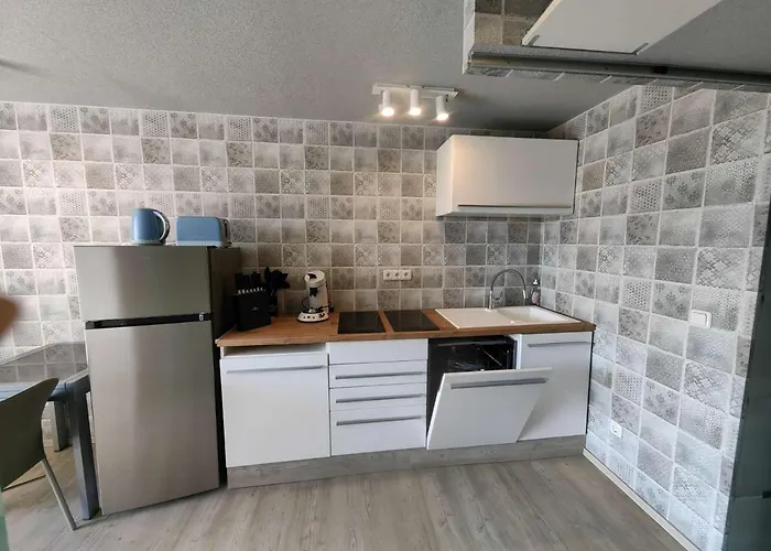 Renove Avec Terrasse, Climatisation, Proche - Fr-1-607-165 Agde