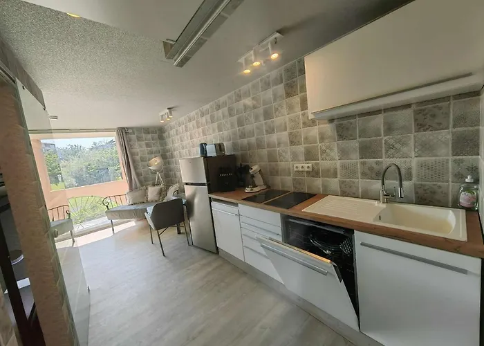 Renove Avec Terrasse, Climatisation, Proche - Fr-1-607-165 * Agde